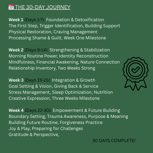 30 Day Sobriety Tracker Digital Planner