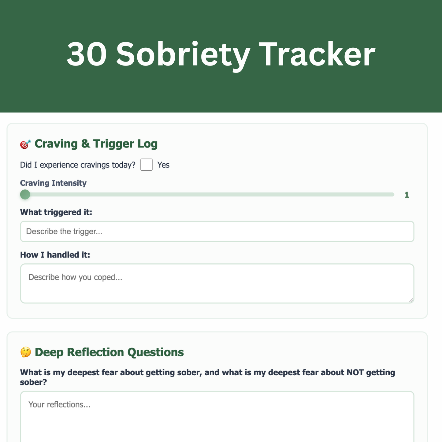 30 Day Sobriety Tracker Digital Planner