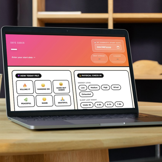 Sober Era Daily Sobriety Tracker | Recovery Dashboard