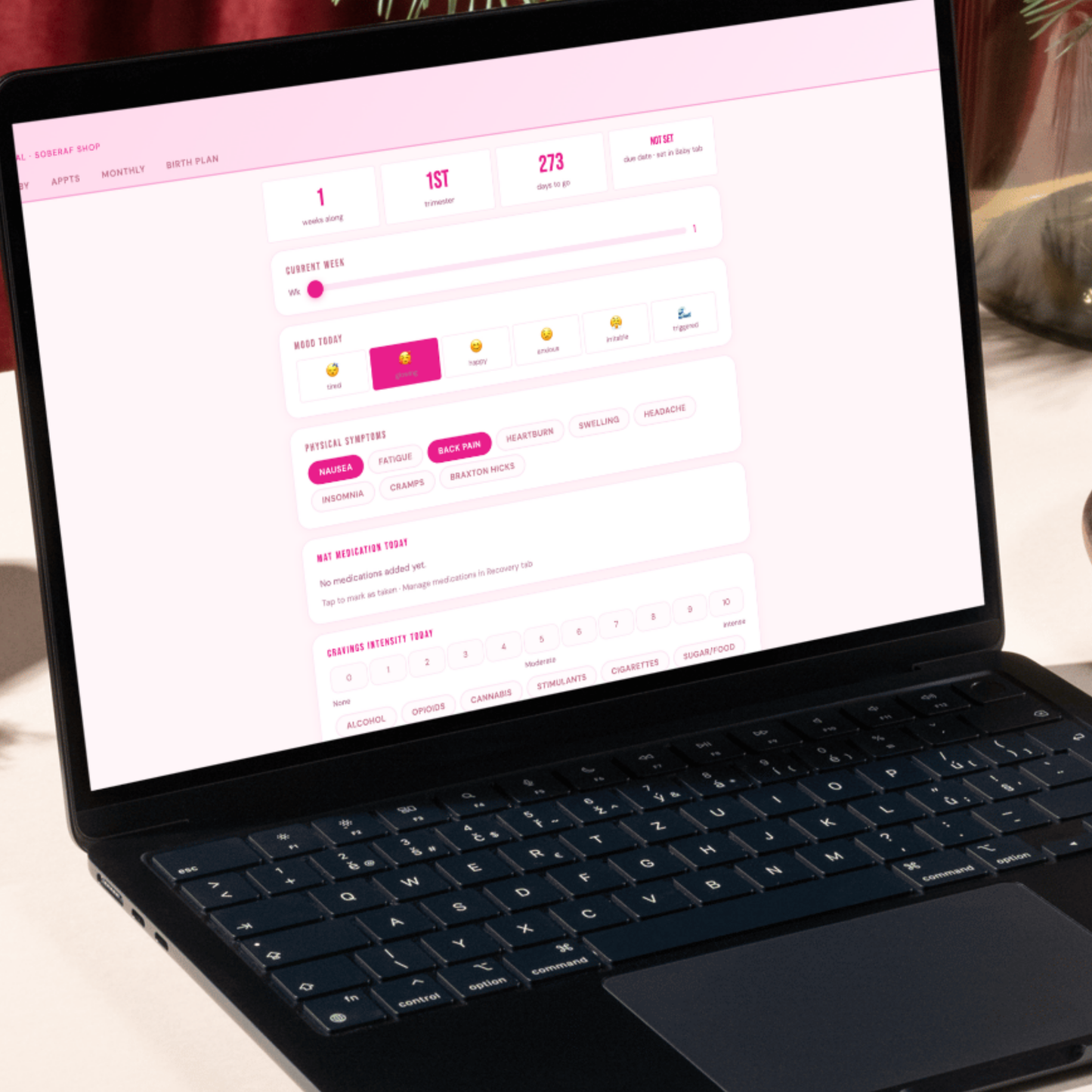 Pregnancy & MAT Journal | Digital Recovery Tracker