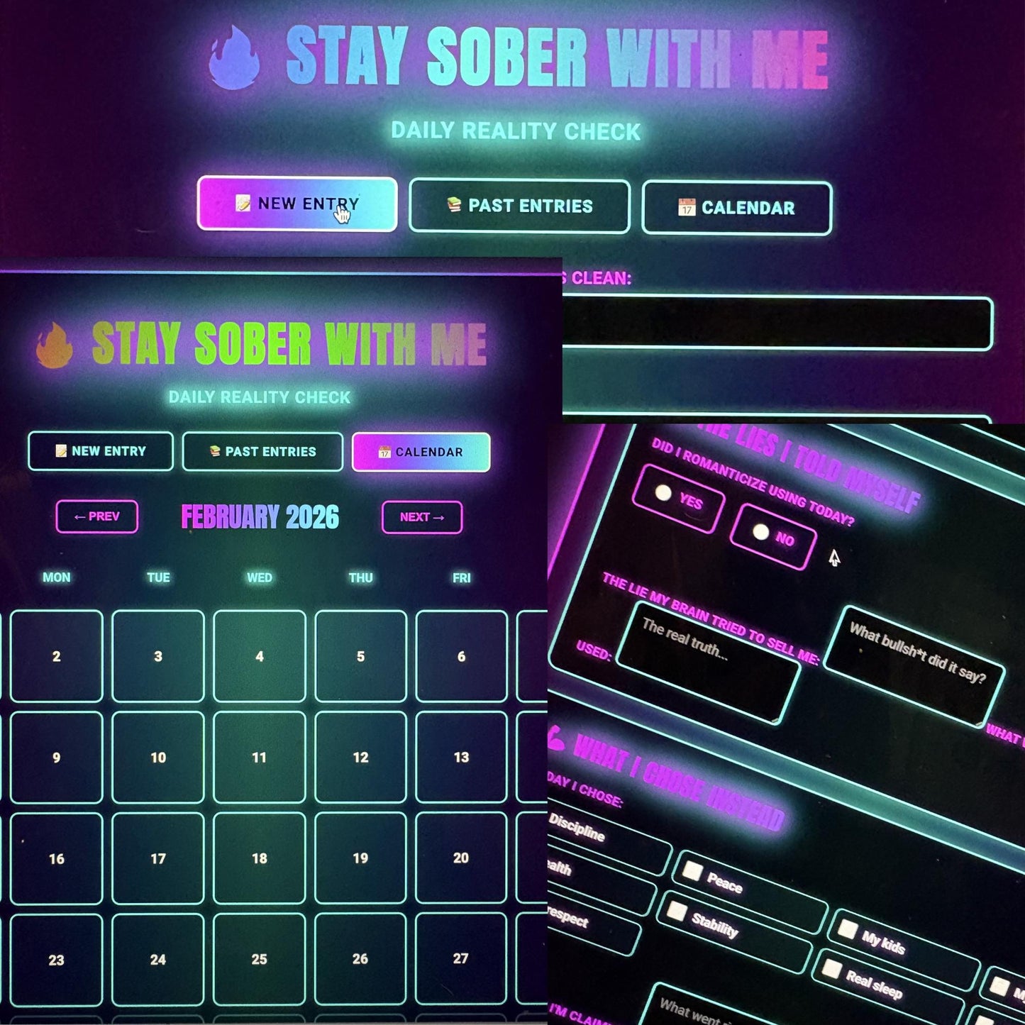 Stay Sober With Me Planner - Digital Journal